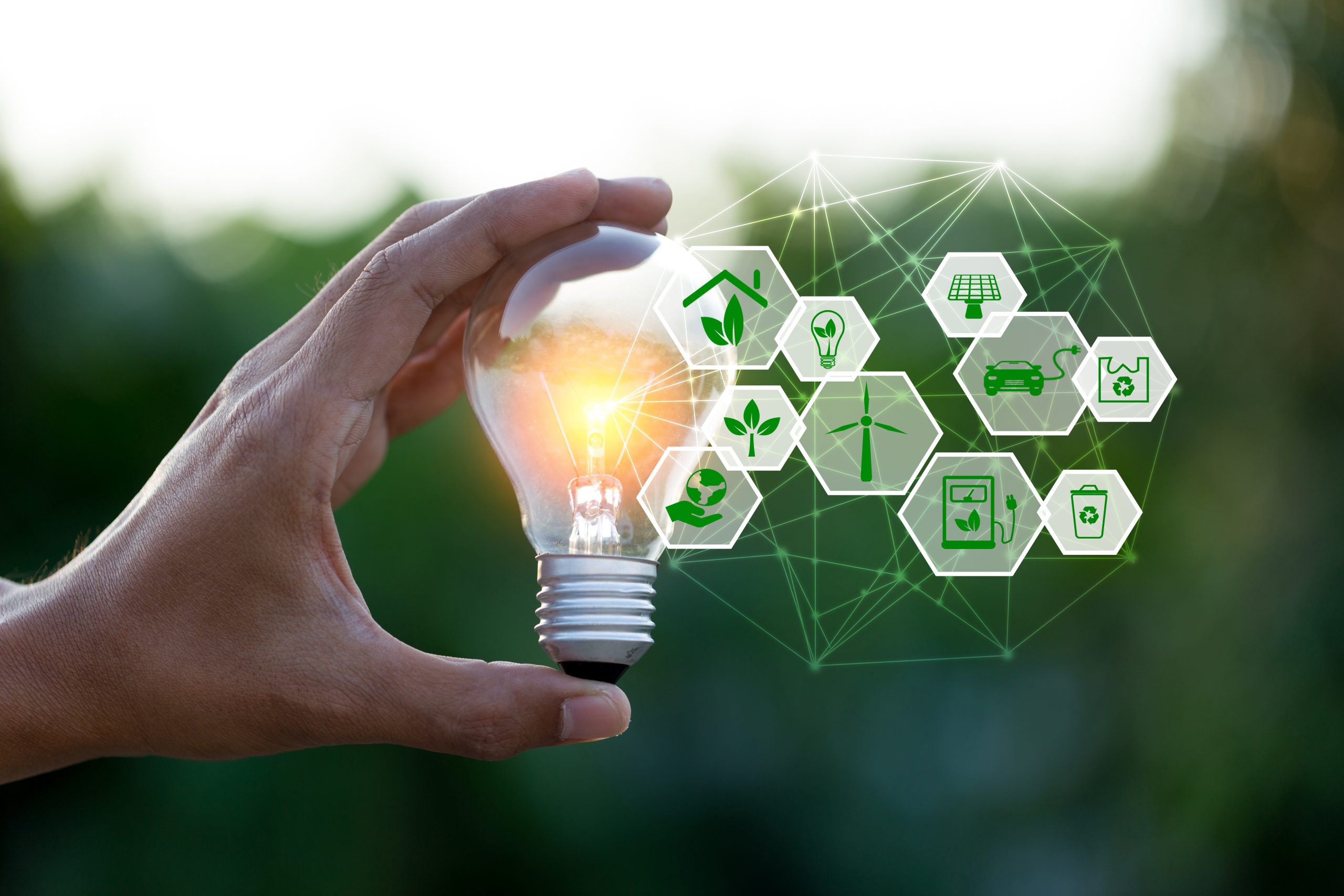 Hand holding light bulb with icons energy sources for renewable,